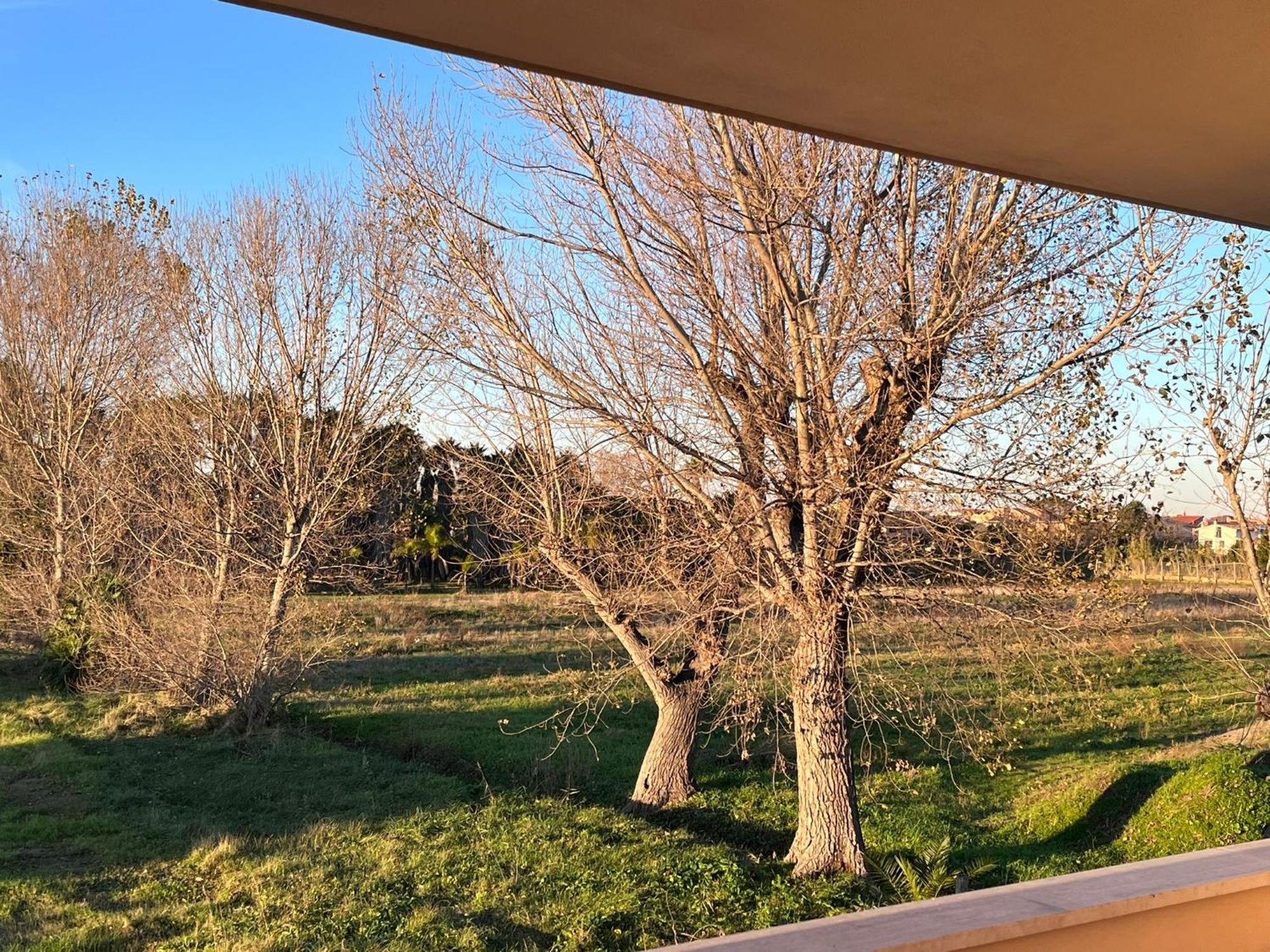 Lizzies Hus Apartment Fiumicino Ngoại thất bức ảnh